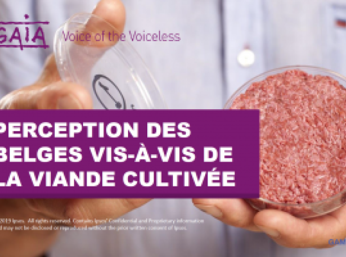 Perception des Belges vis-á-vis de la viande cultivée
