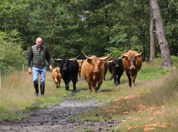 Foto: Lobke Kapteijns